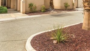 A residential building with a stucco exterior, a palm tree, and a driveway.