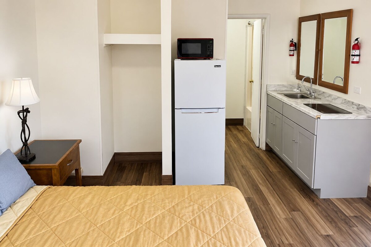 Studio, 1 King Bed