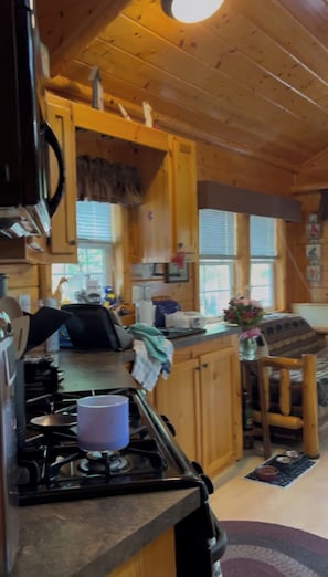 Private kitchen - Cozy 2-bedroom cabin with AC in peaceful Cleveland (Cleveland)