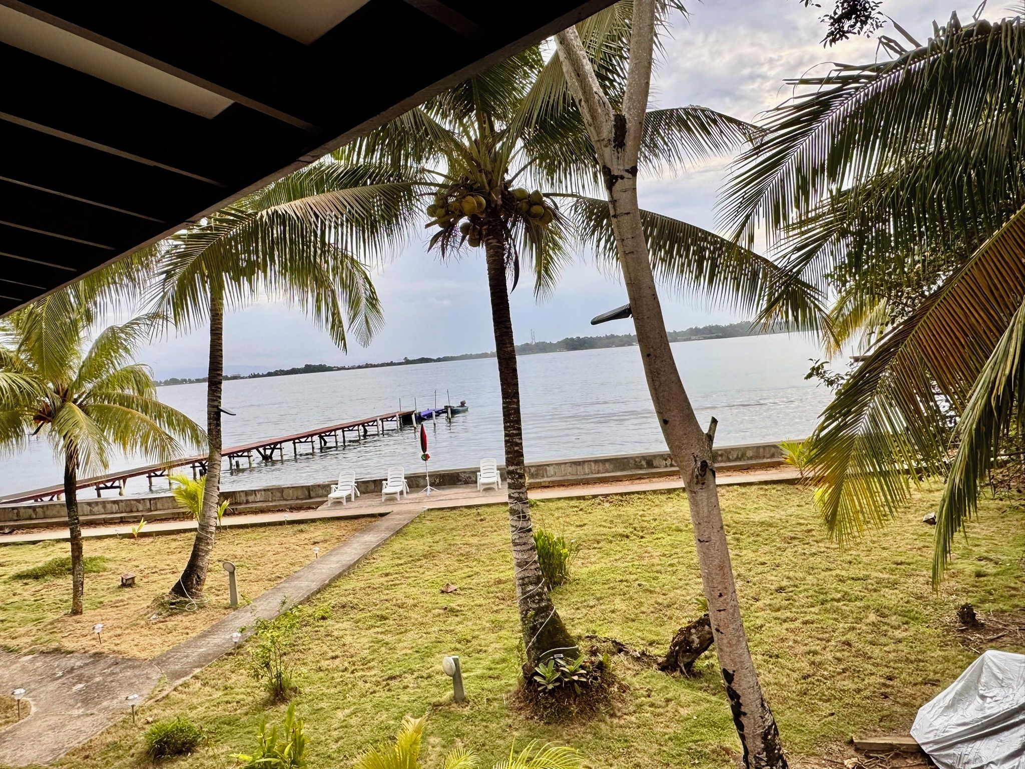 Vista de una playa con palmeras, un muelle y una zona verde con sillas.
