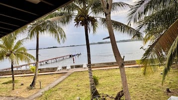 Vista de una playa con palmeras, un muelle y una zona verde con sillas.