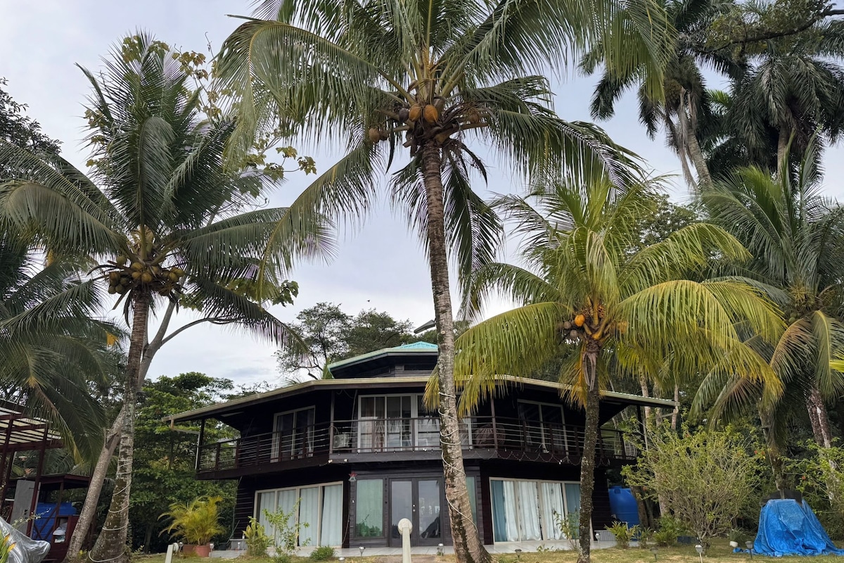 Una casa de dos pisos rodeada de palmeras.