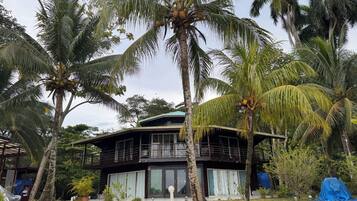 Una casa de dos pisos rodeada de palmeras.