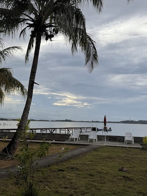 Vista al agua con una palmera, un muelle y sillas blancas.