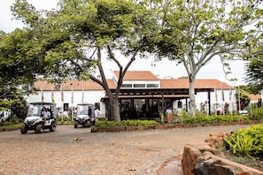 A building with a tiled roof, large trees in front, and a paved entrance area.