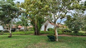 A garden with various trees and a white building with a red roof in the background.