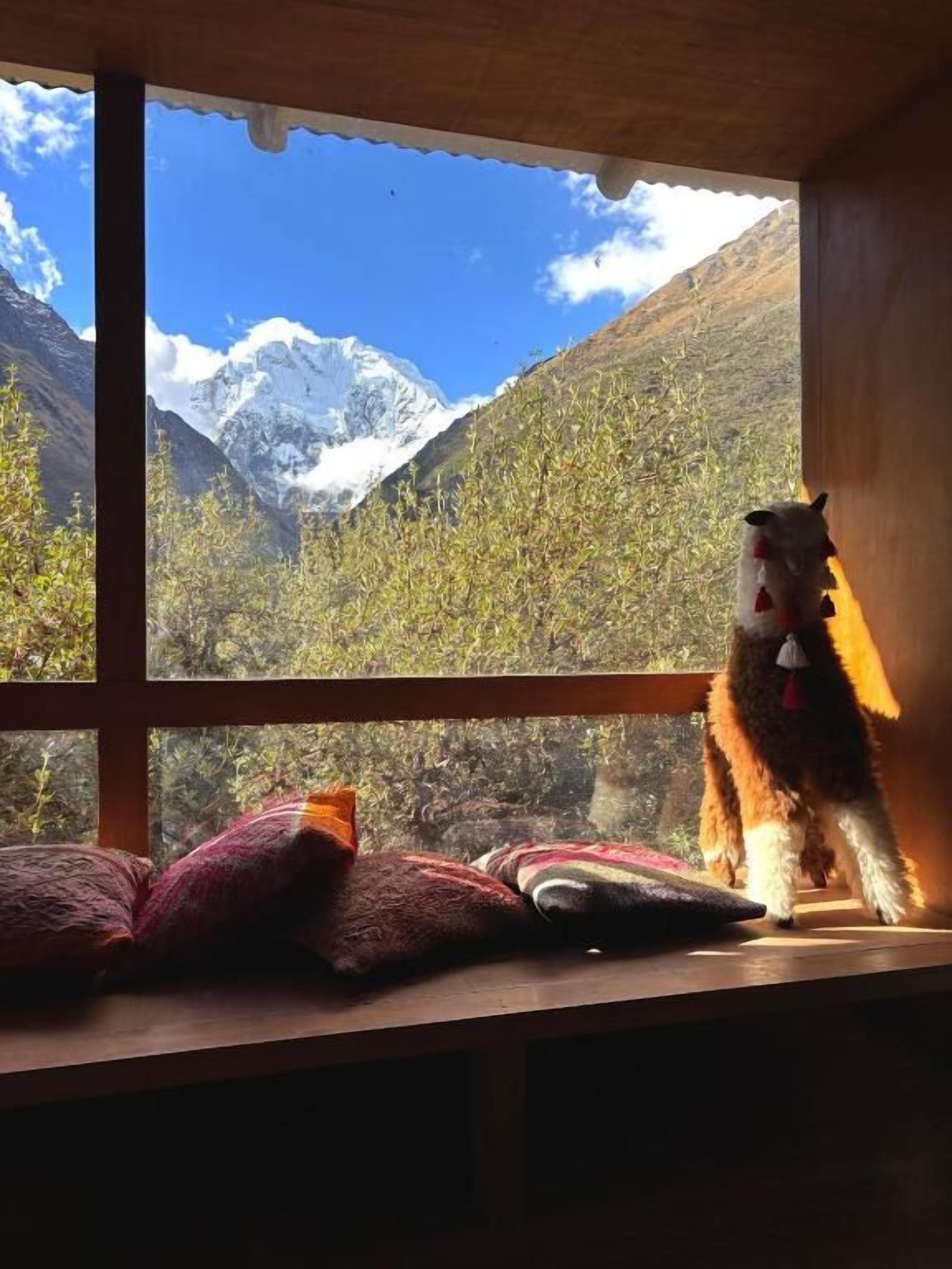 A window with a view of snow-capped mountains and a dog sitting on a ledge.
