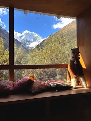 A window with a view of snow-capped mountains and a dog sitting on a ledge. - Machupicchu Lodges (Mollepata)