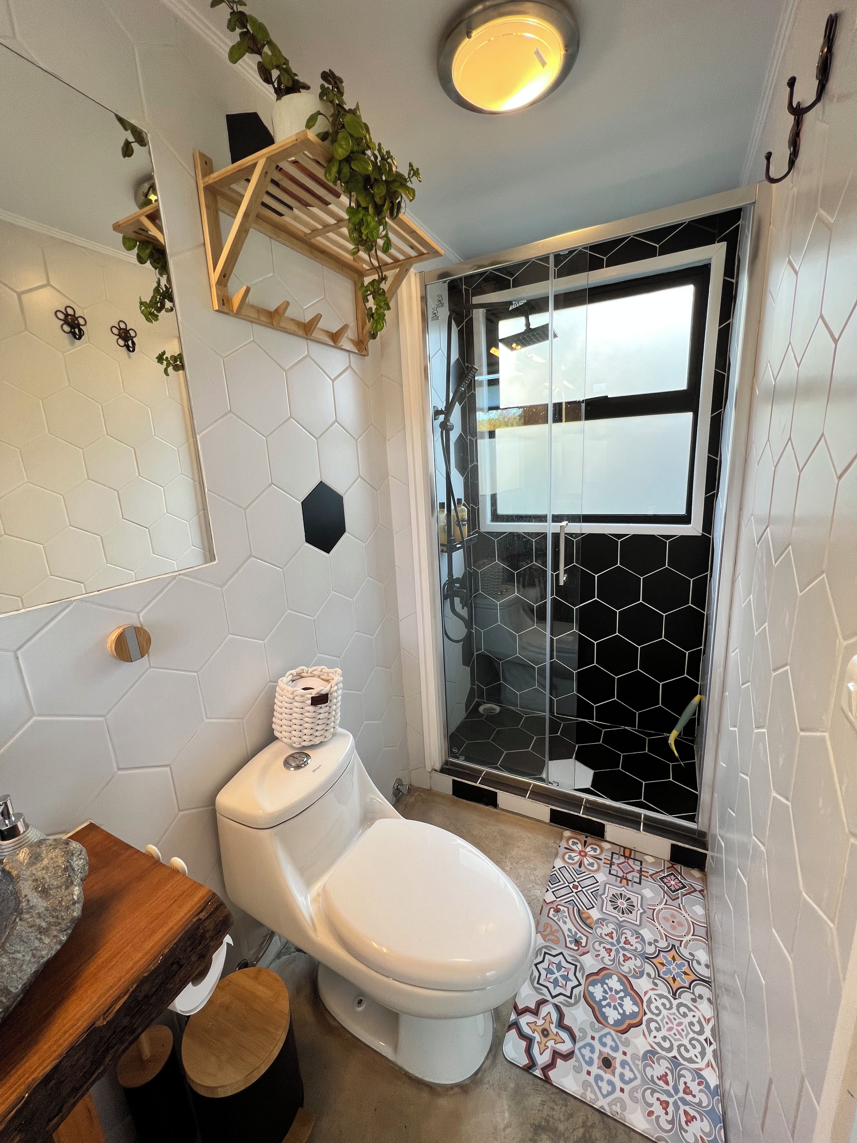 A bathroom with a white toilet, a glass shower enclosure, a wooden shelf with plants, and a patterned floor mat.