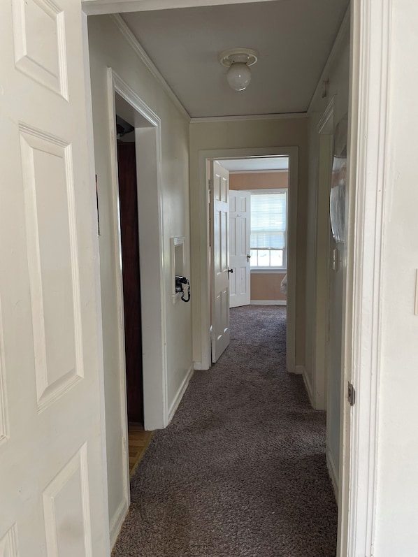A hallway with white doors, carpeted flooring, and a ceiling light fixture.