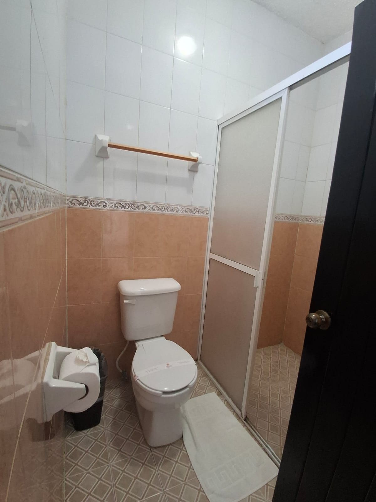 Un baño con inodoro, un cubo de basura, una toalla y una puerta de ducha.