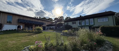 Zona residencial con dos casas, un jardín con diversas plantas y un cielo despejado.