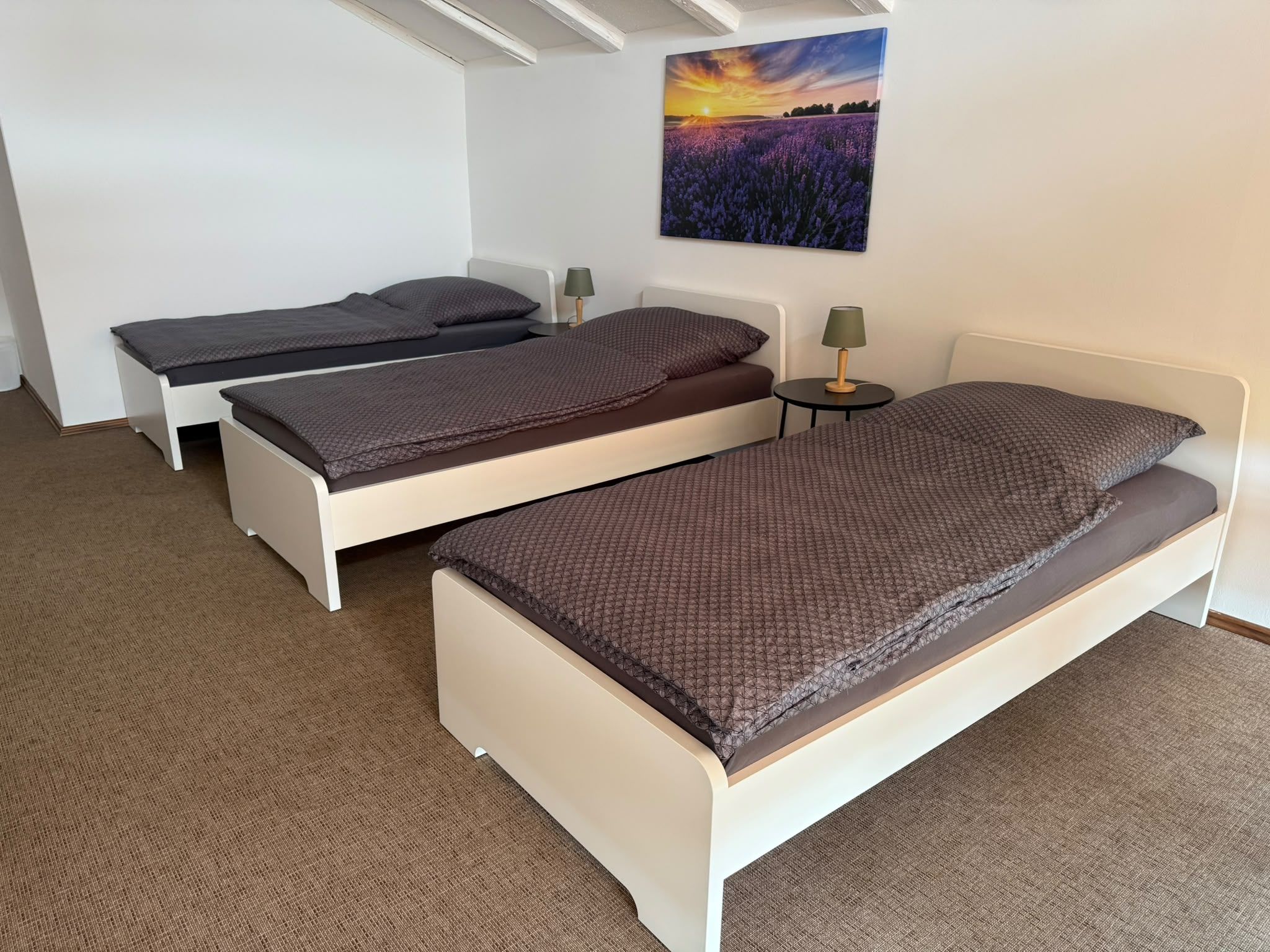 Une chambre avec deux lits simples, une petite table avec une lampe et un tableau au mur.