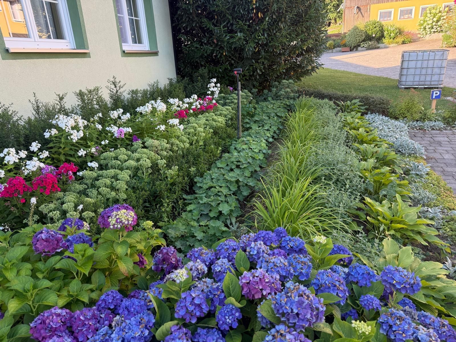 A garden with a variety of flowers and plants, a pathway, and a building with a window.