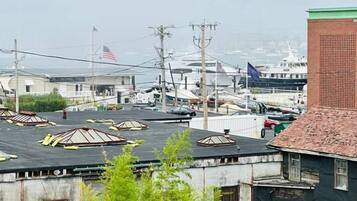 A residential area with multiple buildings, a dock with boats, and a clear view of the water.