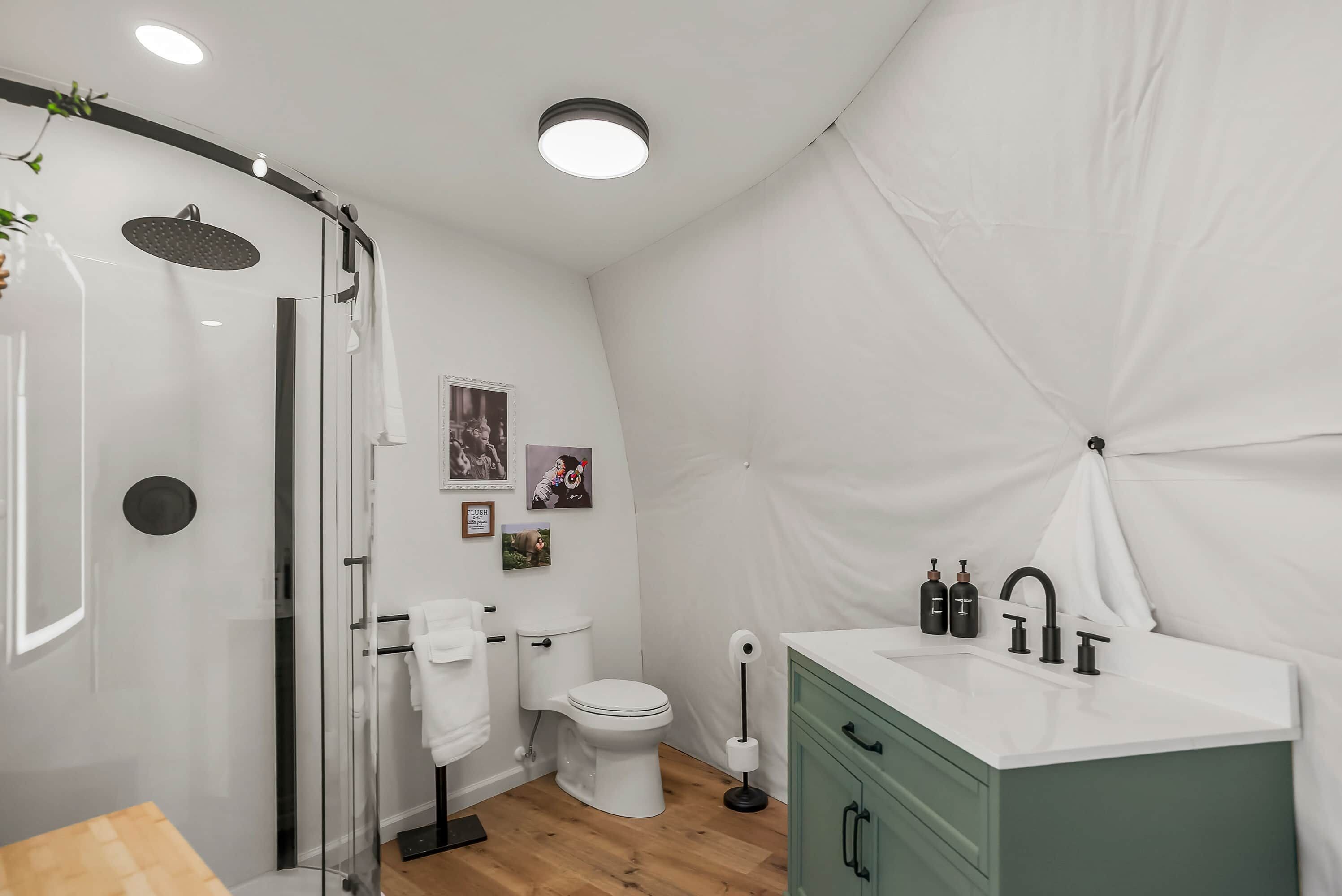A modern bathroom with a glass shower enclosure, a toilet, and a vanity with a sink.