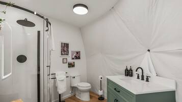 A modern bathroom with a glass shower enclosure, a toilet, and a vanity with a sink.