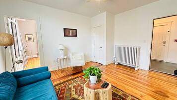 Un salon avec un canapé bleu, une table basse en bois ornée d’une plante, un tapis à motifs et un ventilateur de plafond.