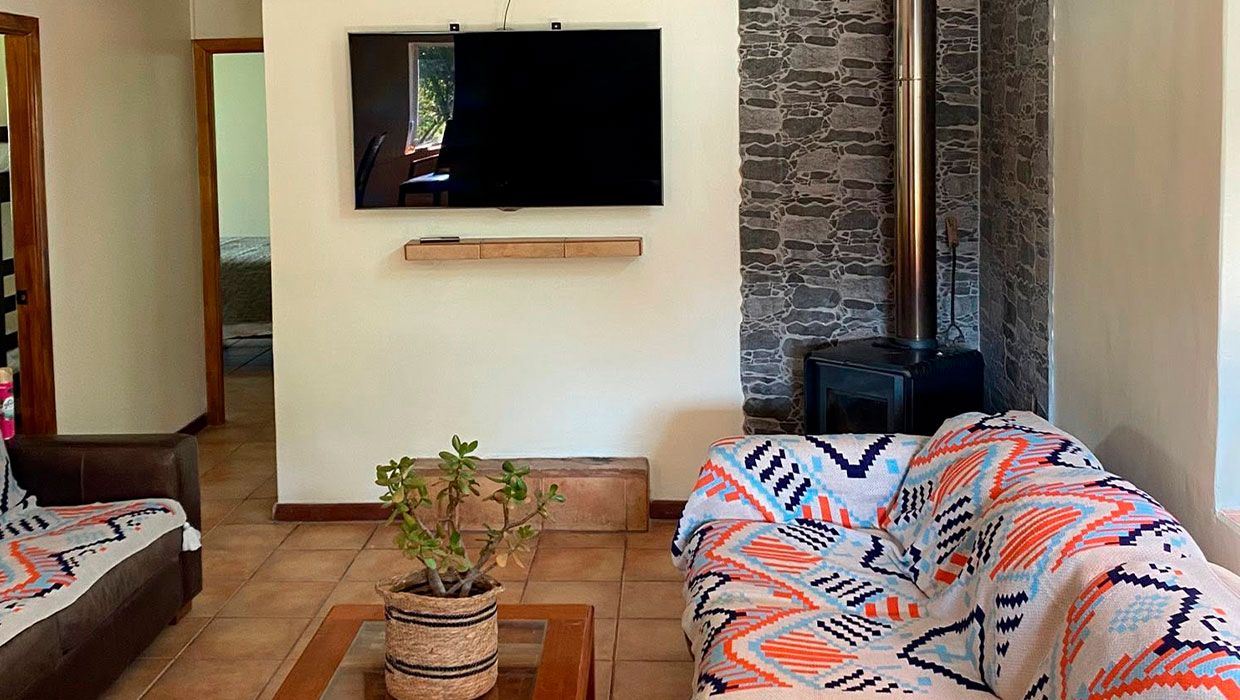 A living room with a flat-screen TV mounted on the wall, a stone fireplace, a sofa with a patterned throw, and a potted plant.