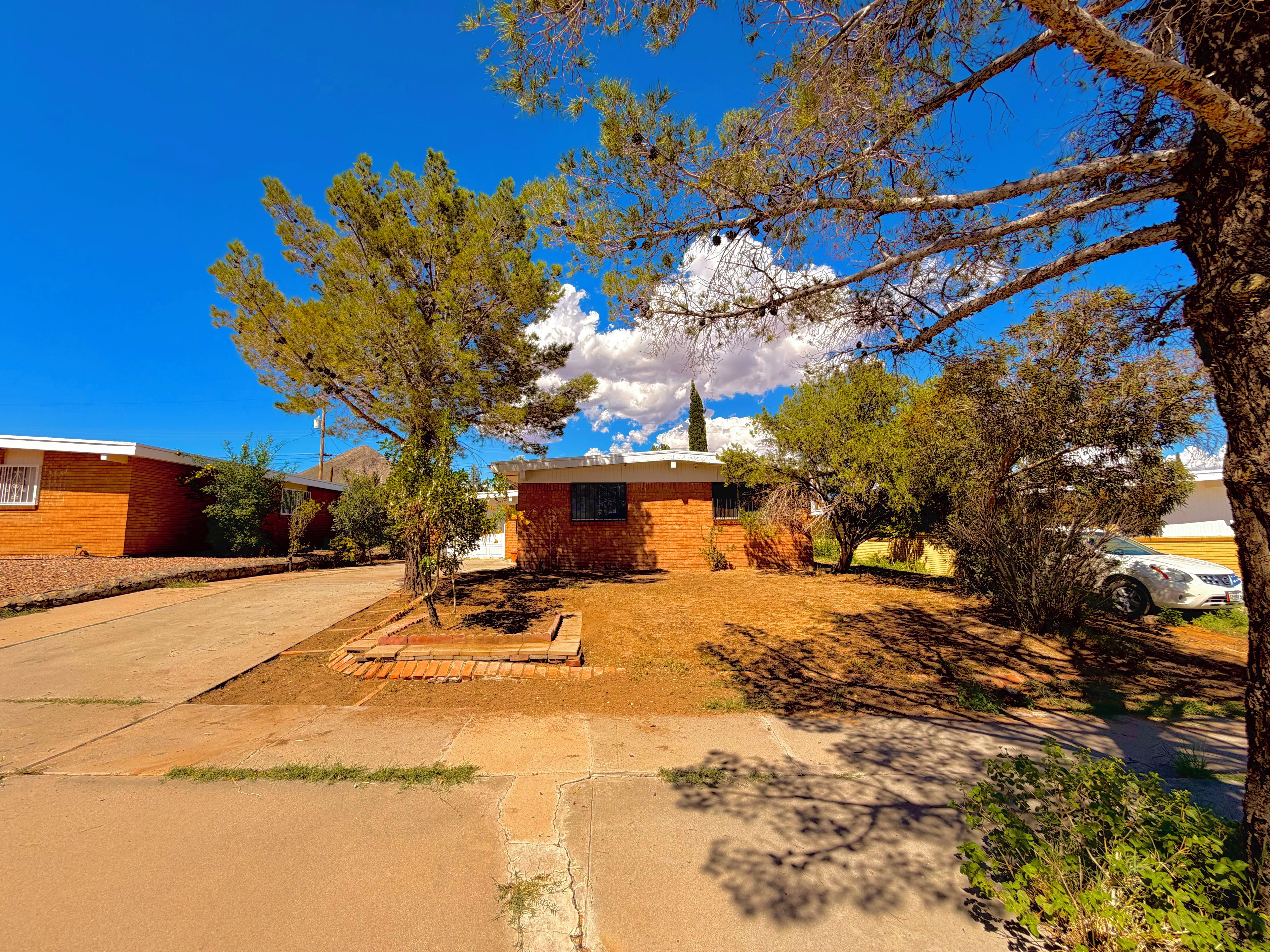 A residential area with a house, a driveway, and a tree.