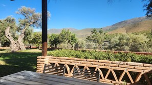 Unclassified image, 5 of 17, button - A small house nestled among centuries-old olive trees with spectacular views (Órgiva)