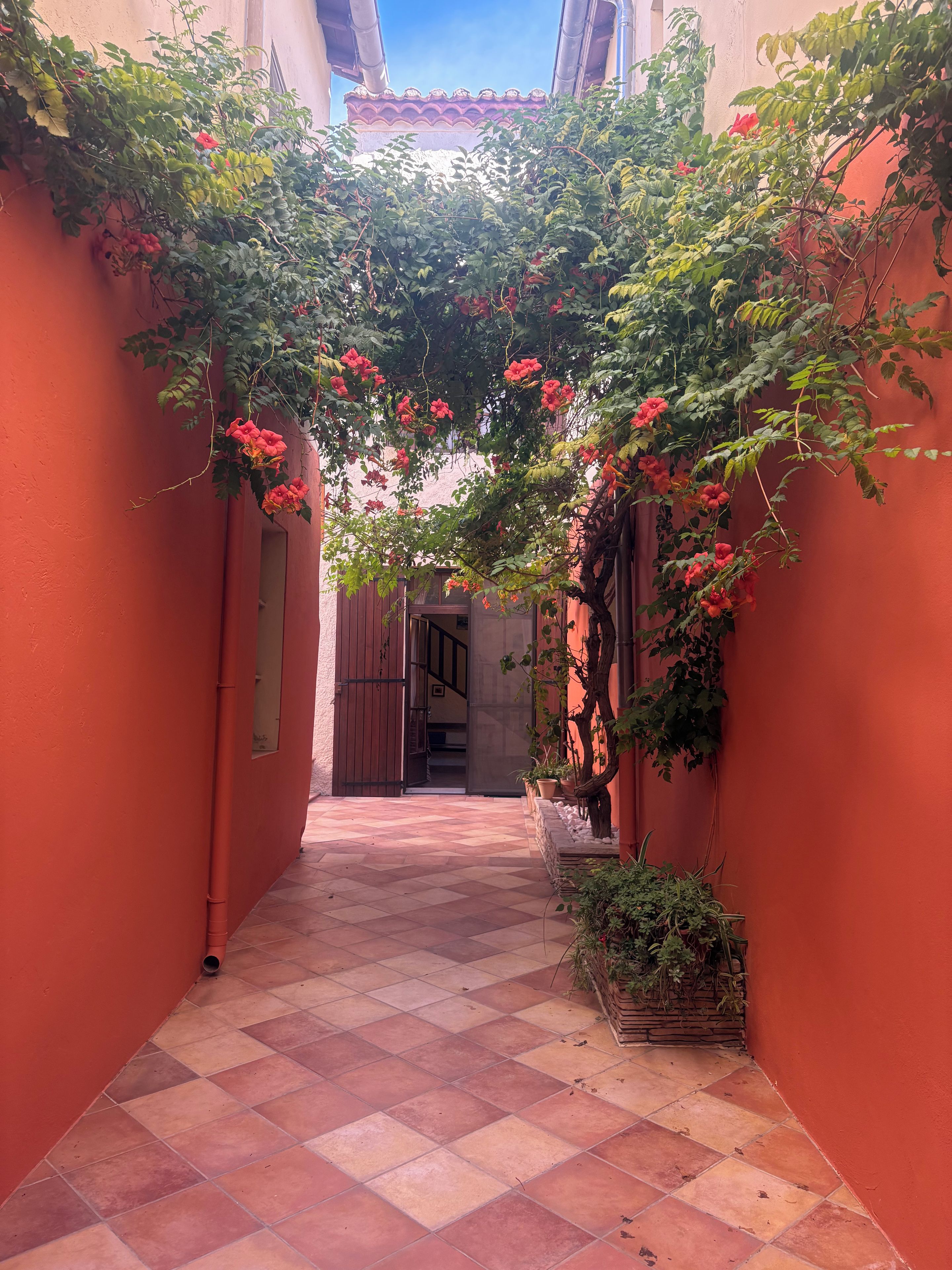 A narrow alleyway with a tiled floor, flanked by walls with climbing plants and red flowers.