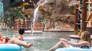 Unclassified image, 4 of 7, button - Cozy 1-bedroom condo in charming Gatlinburg with AC and gym (Gatlinburg)