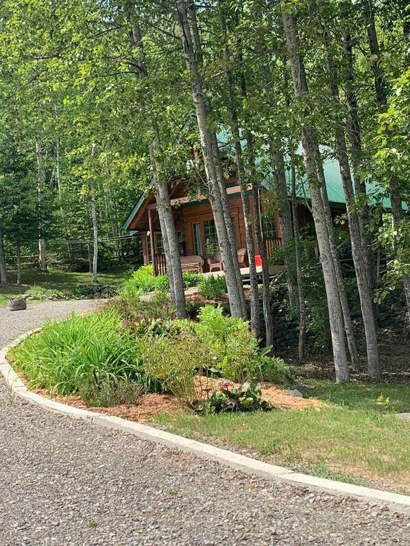 A wooden cabin with a porch, surrounded by a gravel path and lush greenery.