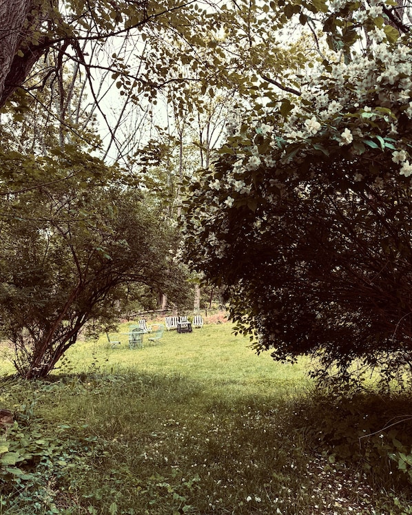 Unclassified image, 1 of 13, button