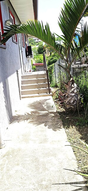 A concrete pathway leading to a set of stairs with a palm tree on the right. - Akim's Apartments (Scarborough)