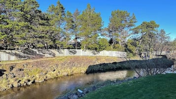 A natural landscape with a stream, grassy areas, and trees.