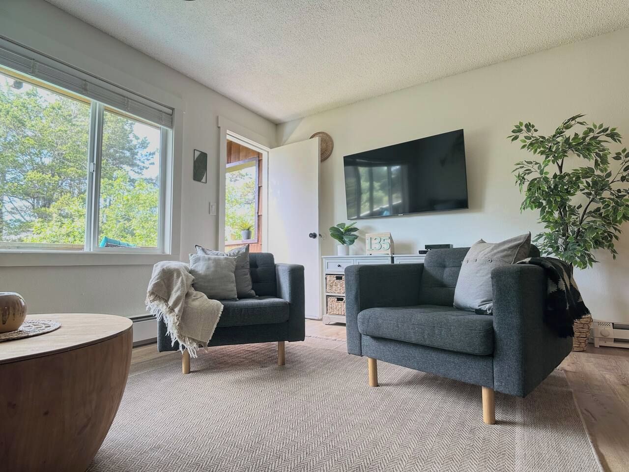 A living room with two sofas, a TV, a plant, and a window with a view of trees.