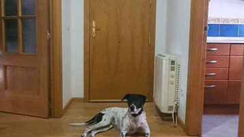 A dog lying on a wooden floor in a hallway with a wooden door and a white wall.