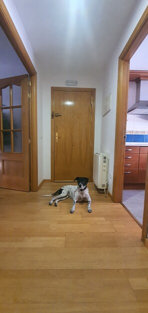 A dog lying on a wooden floor in a hallway with a wooden door and a white wall.