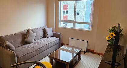 Modern apartment in Pelluco, just steps from the ocean, restaurants, and entertainment