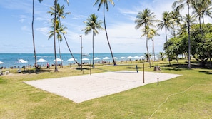 A beach volleyball court with palm trees, beach chairs, and umbrellas.
