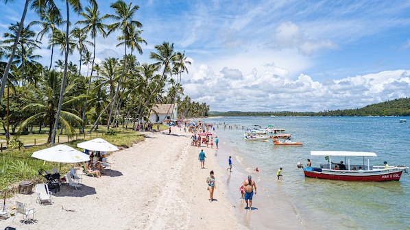 A beach with palm trees, beach chairs, umbrellas, and boats.