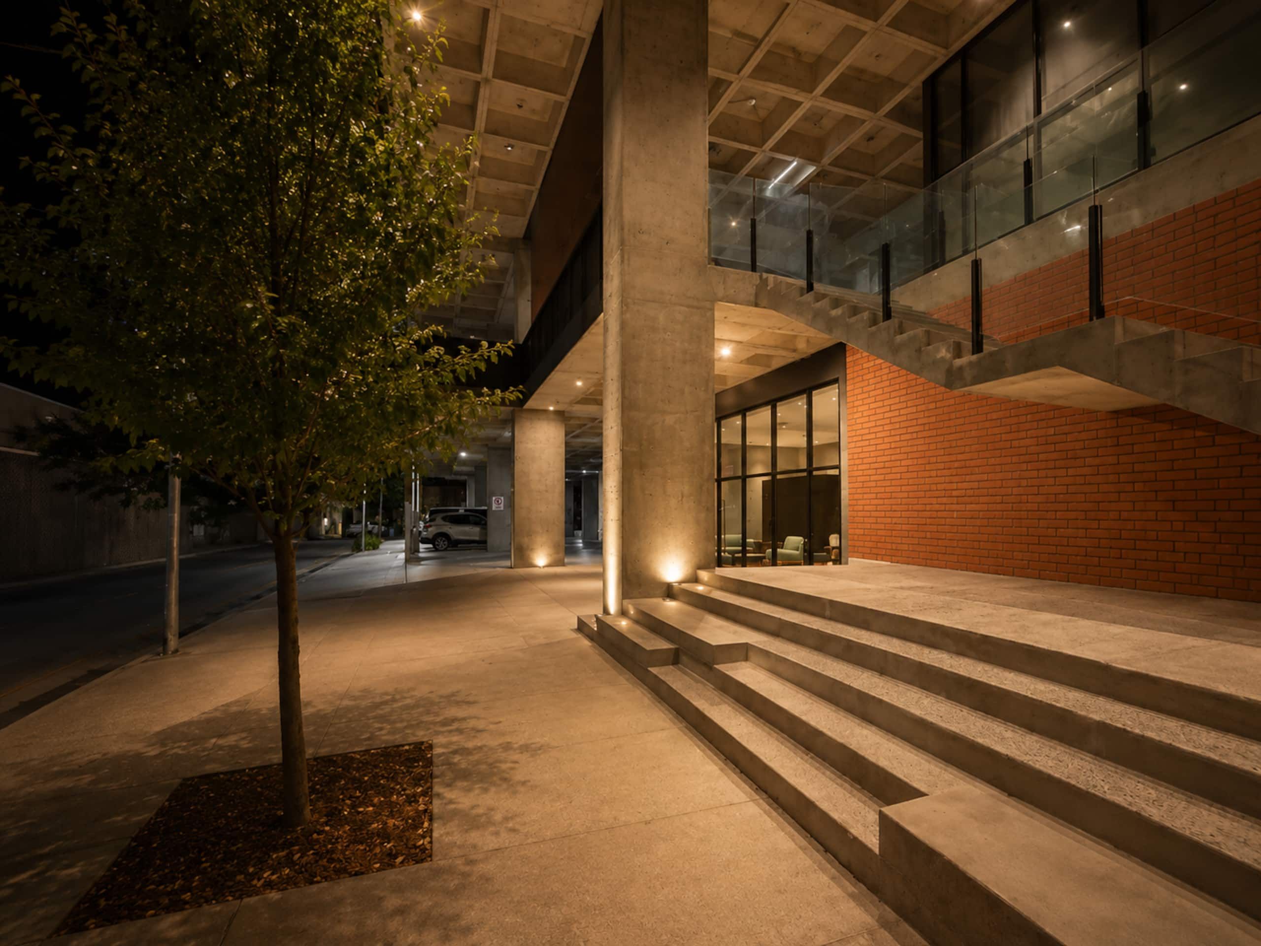 An outdoor area with steps leading to a building entrance, a tree, and a parked car.