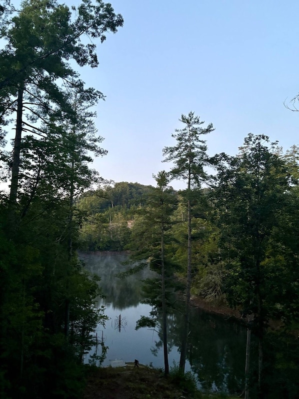 A serene lake surrounded by dense forest with tall trees and a clear sky. - Chasin Turkeys | Lakefront Cabin w/ Hot Tub, Arcade Game & Fire Pit (Campton)