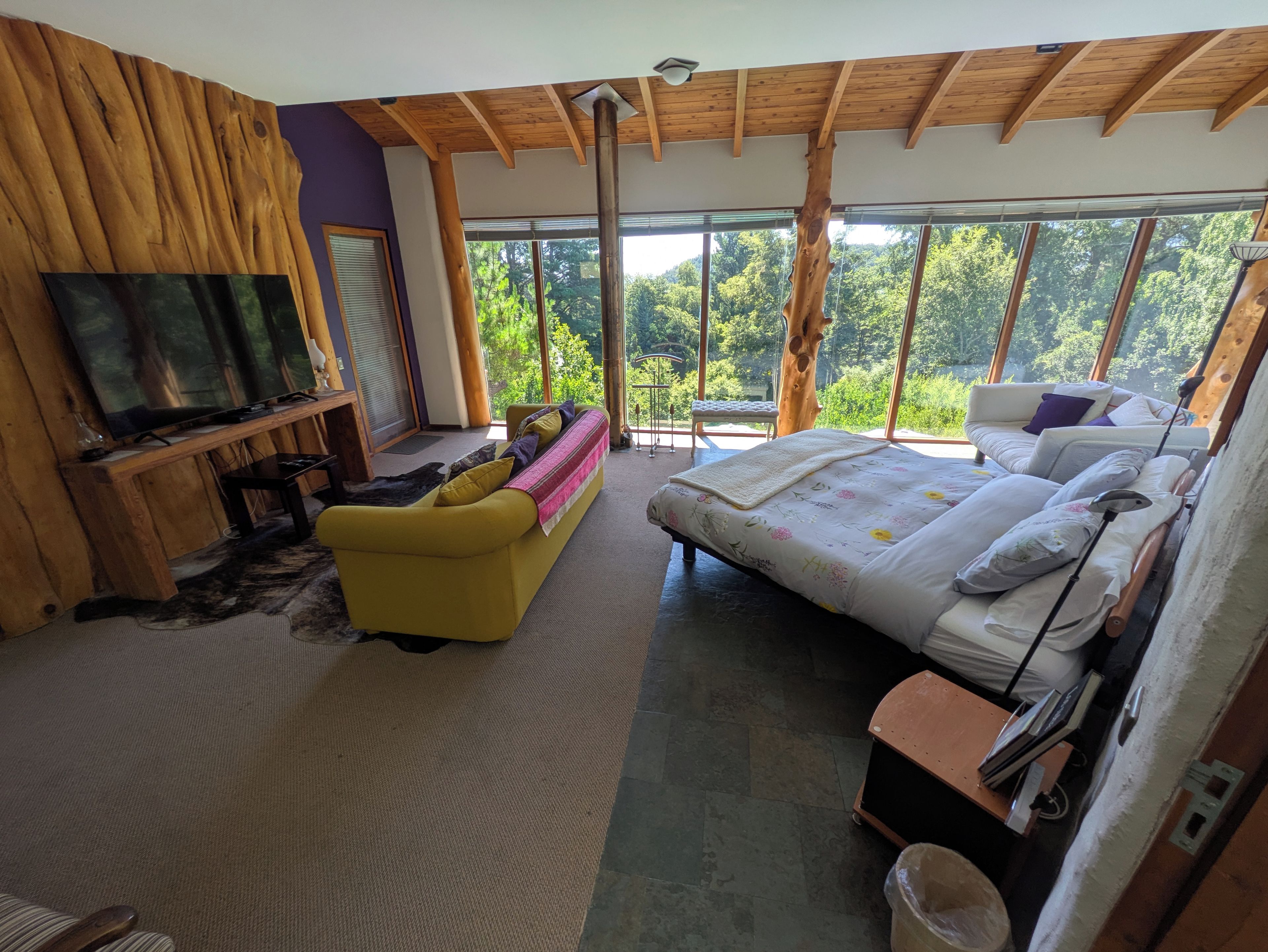 A modern bedroom with a large bed, a sofa, a television, and a view of the outdoors.