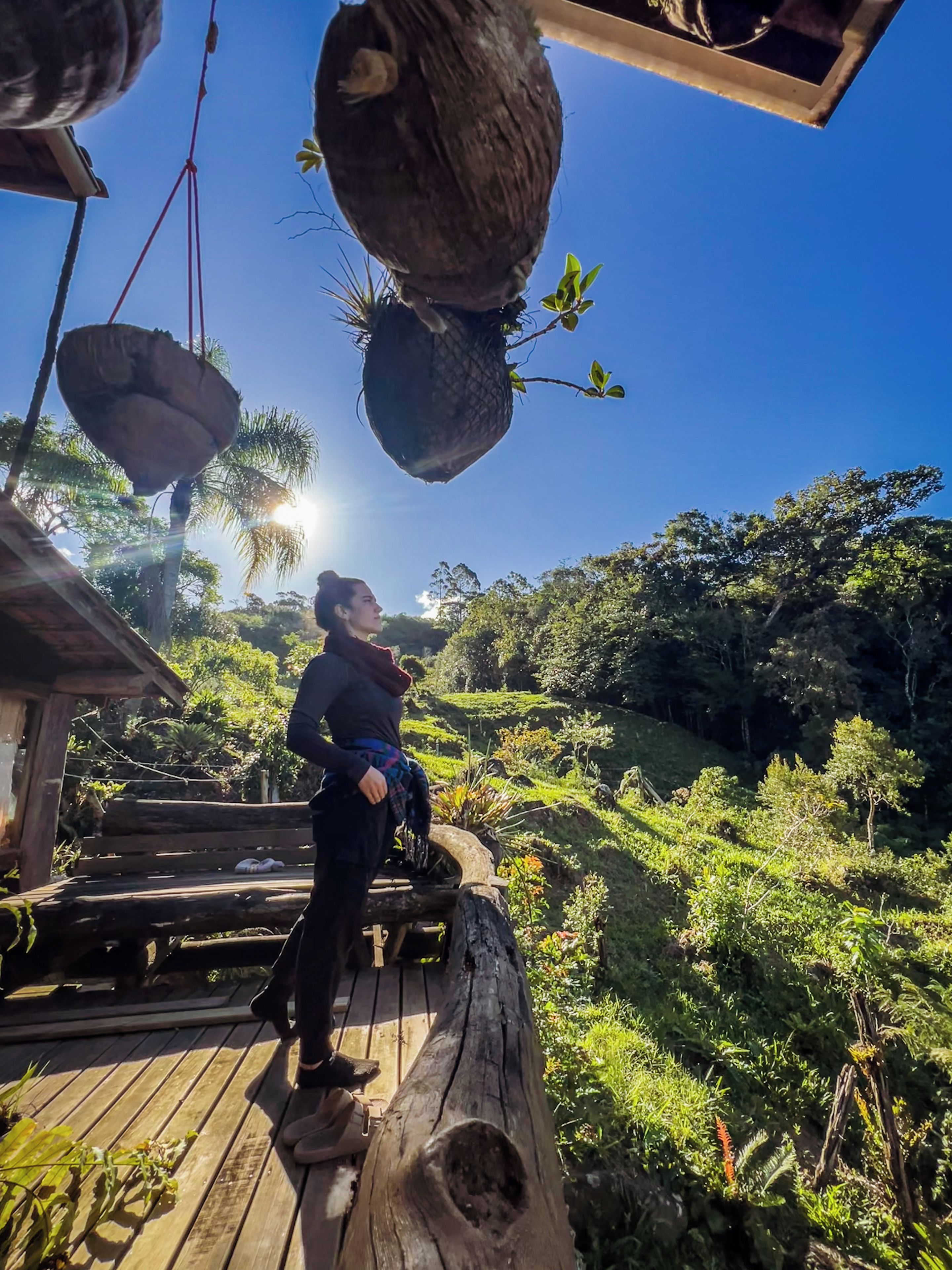 Una persona de pie sobre una cubierta de madera con vistas a un paisaje verde exuberante con macetas colgantes.