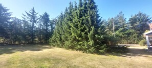 A yard with a large evergreen tree, a grassy area, and a building in the background. - Lovely holiday oasis on scenic Thyholm (Thyholm)