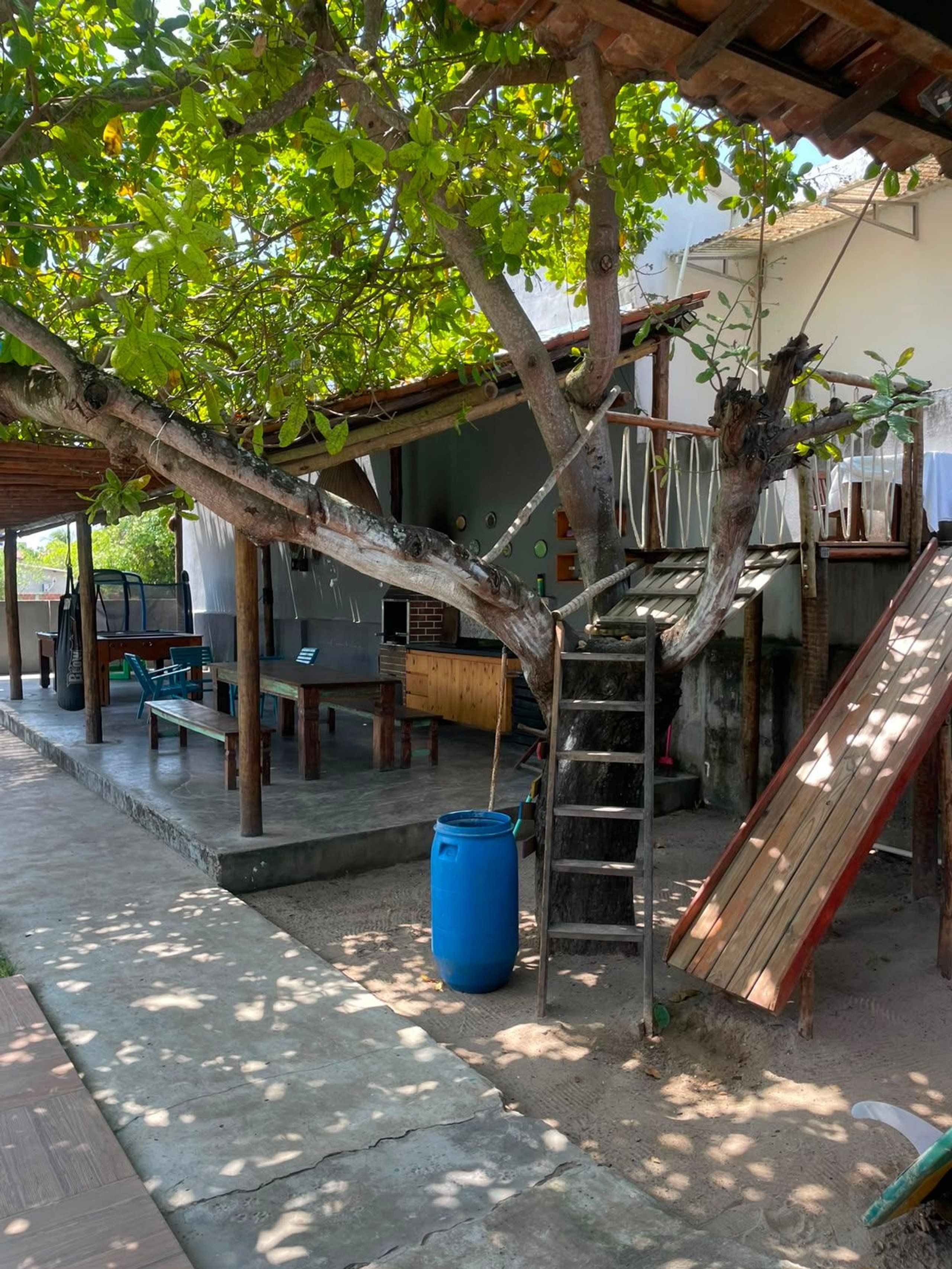 Un espace extérieur abrité, avec un arbre, un baril bleu, une échelle en bois et un toboggan.