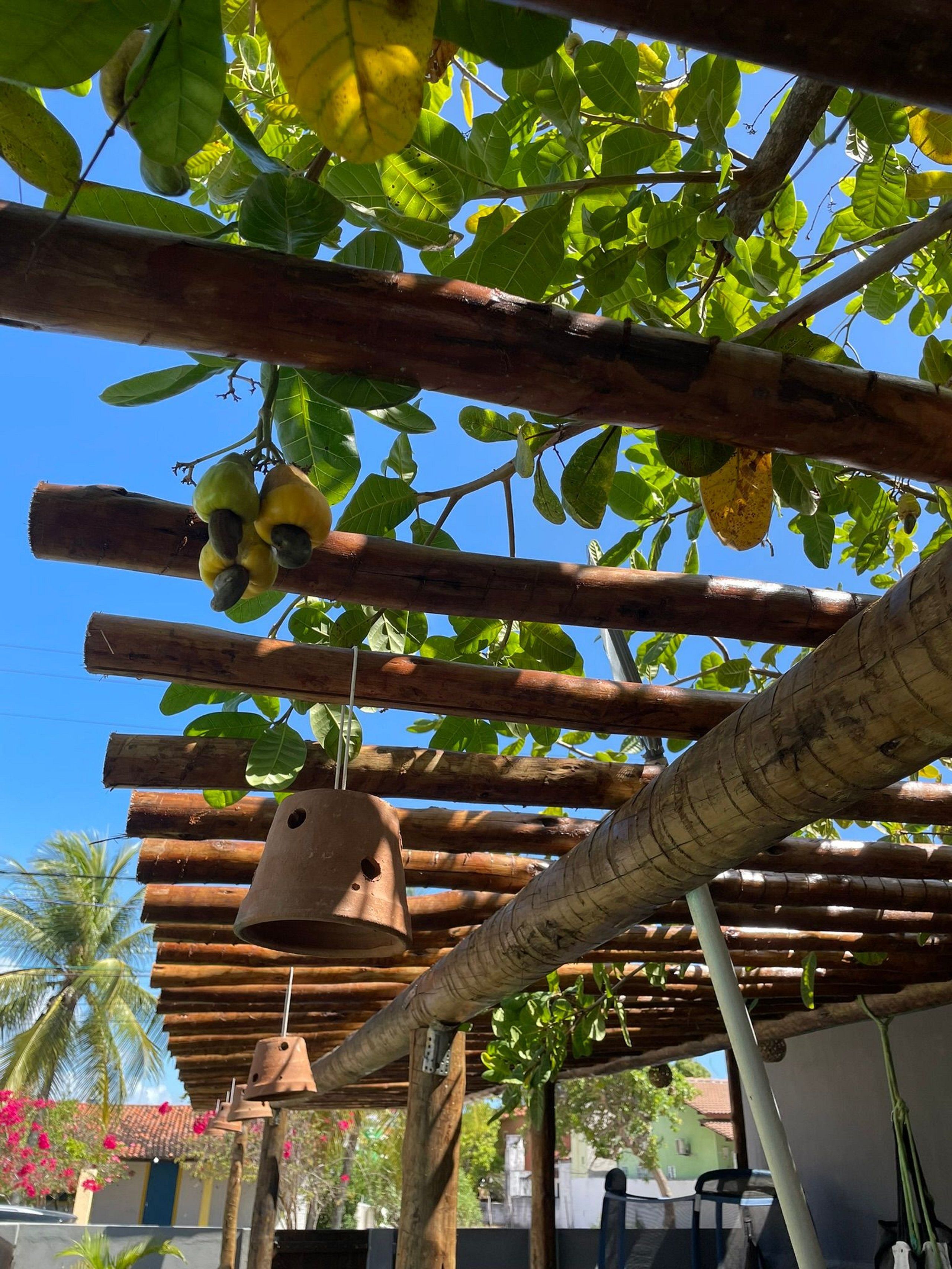 Eine Pergola aus Holz mit hängenden Glöckchen und einem Baum mit grünen Blättern und gelben Früchten.