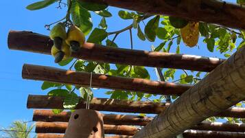 Eine Pergola aus Holz mit hängenden Glöckchen und einem Baum mit grünen Blättern und gelben Früchten.