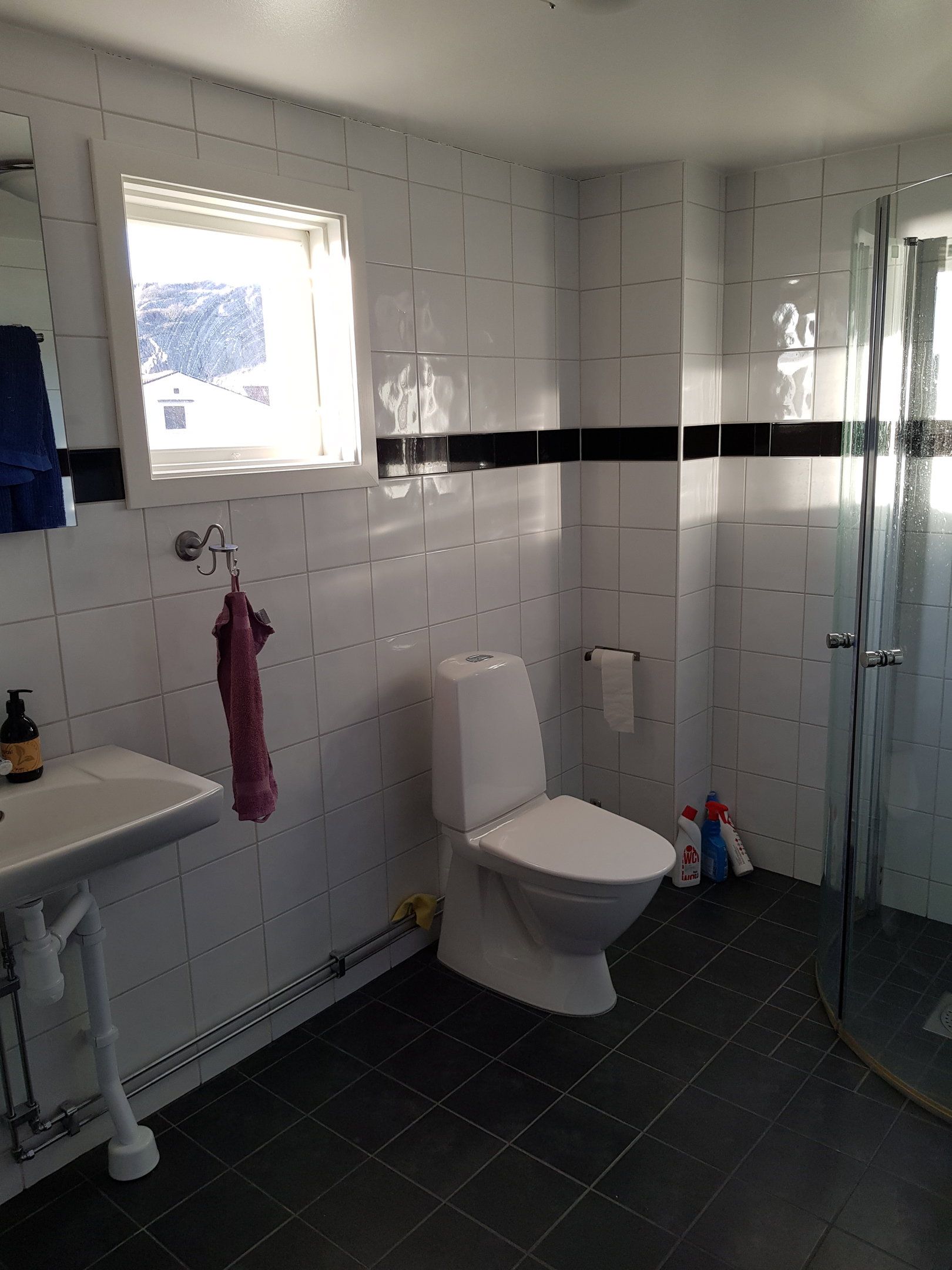 Une salle de bain avec des toilettes, un lavabo et une fenêtre.