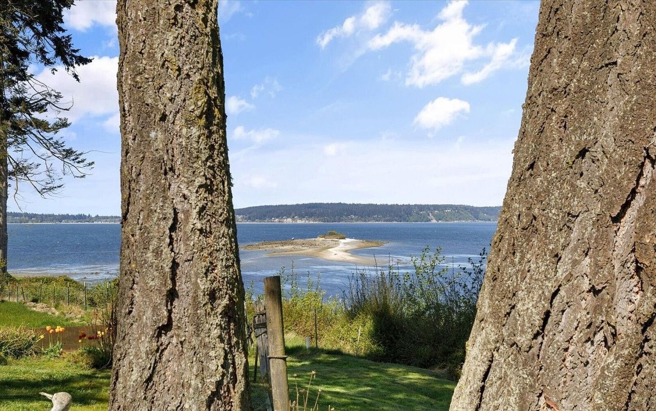 Look out across the shoreline and water through the trees by the bungalow.