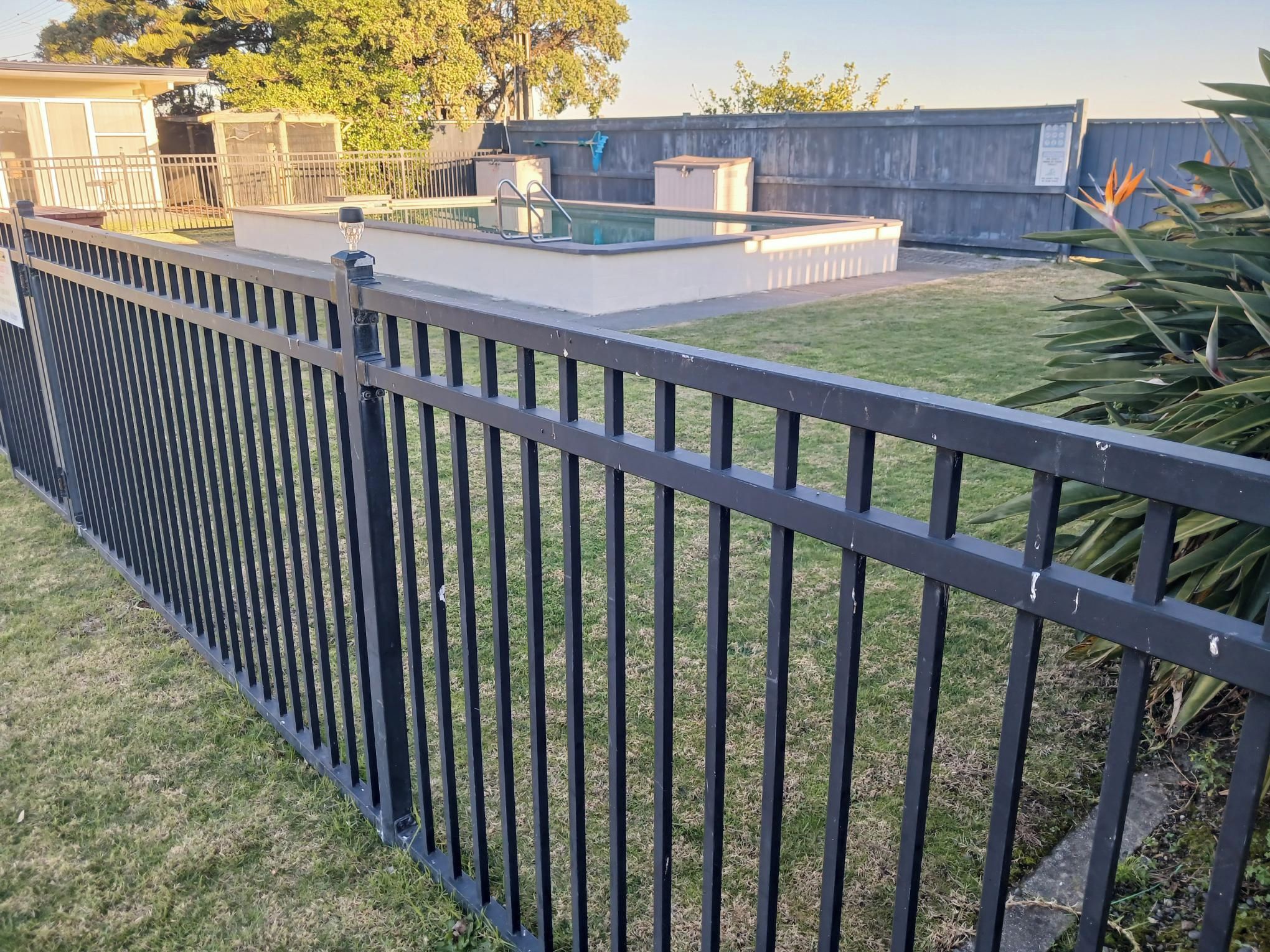 Un patio trasero cercado con piscina, un cobertizo y un árbol.