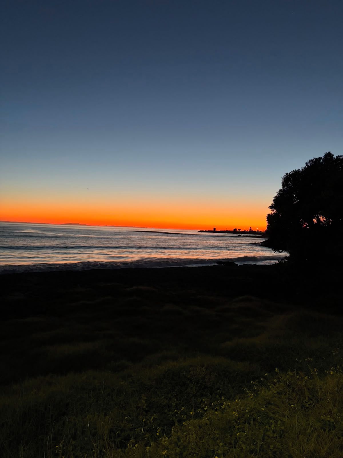 A coastal landscape during sunset with a clear sky, waves, and a silhouette of a tree.