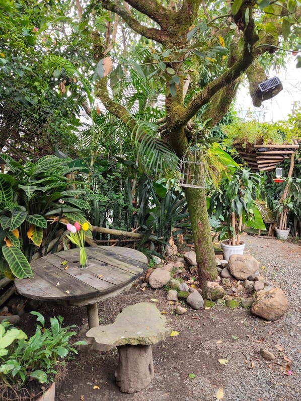 A garden with a wooden bench, a stone table, and various plants.